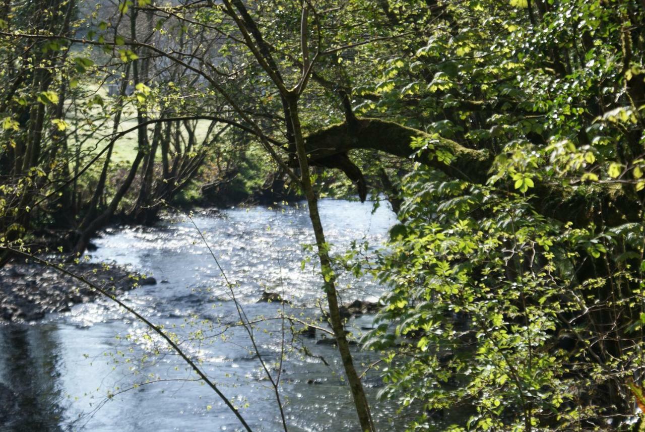 Bridford Scenery Cottage מראה חיצוני תמונה